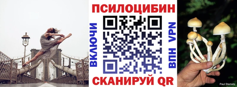 hydra маркетплейс Ликино-Дулёво Псилоцибиновые грибы Psilocybine cubensis